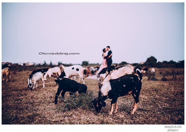 Album hình cưới nơi ghi lại cảm xúc thăng hoa, phút giây hạnh phúc nhất của đôi uyên ưương..