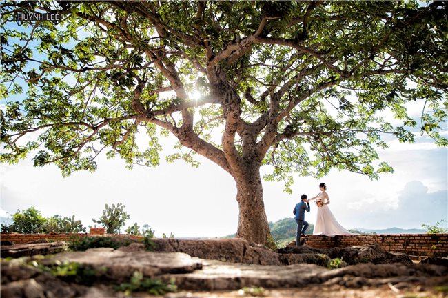 Album hình cưới nơi ghi lại cảm xúc thăng hoa, phút giây hạnh phúc nhất của đôi uyên ưương..